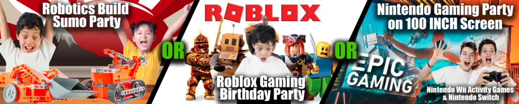 Robotics Building and Sumo Wrestling Birthday Party, Roblox Birthday Party, Nintendo Gaming Big Screen Birthday Party